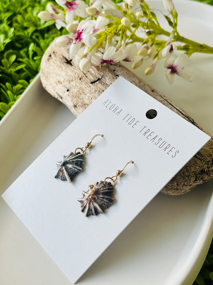14K GF ‘Opihi Earrings