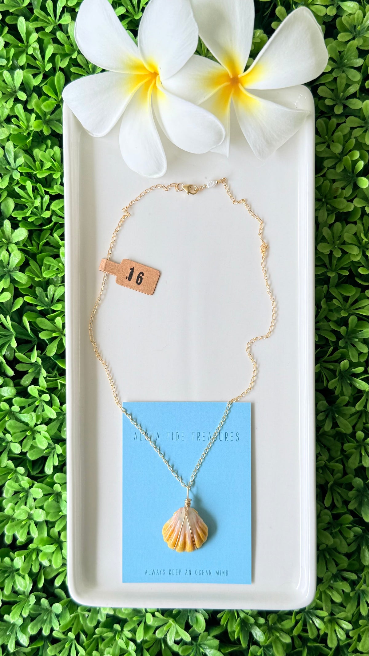 14K GF Sunrise Shell Necklace 16”