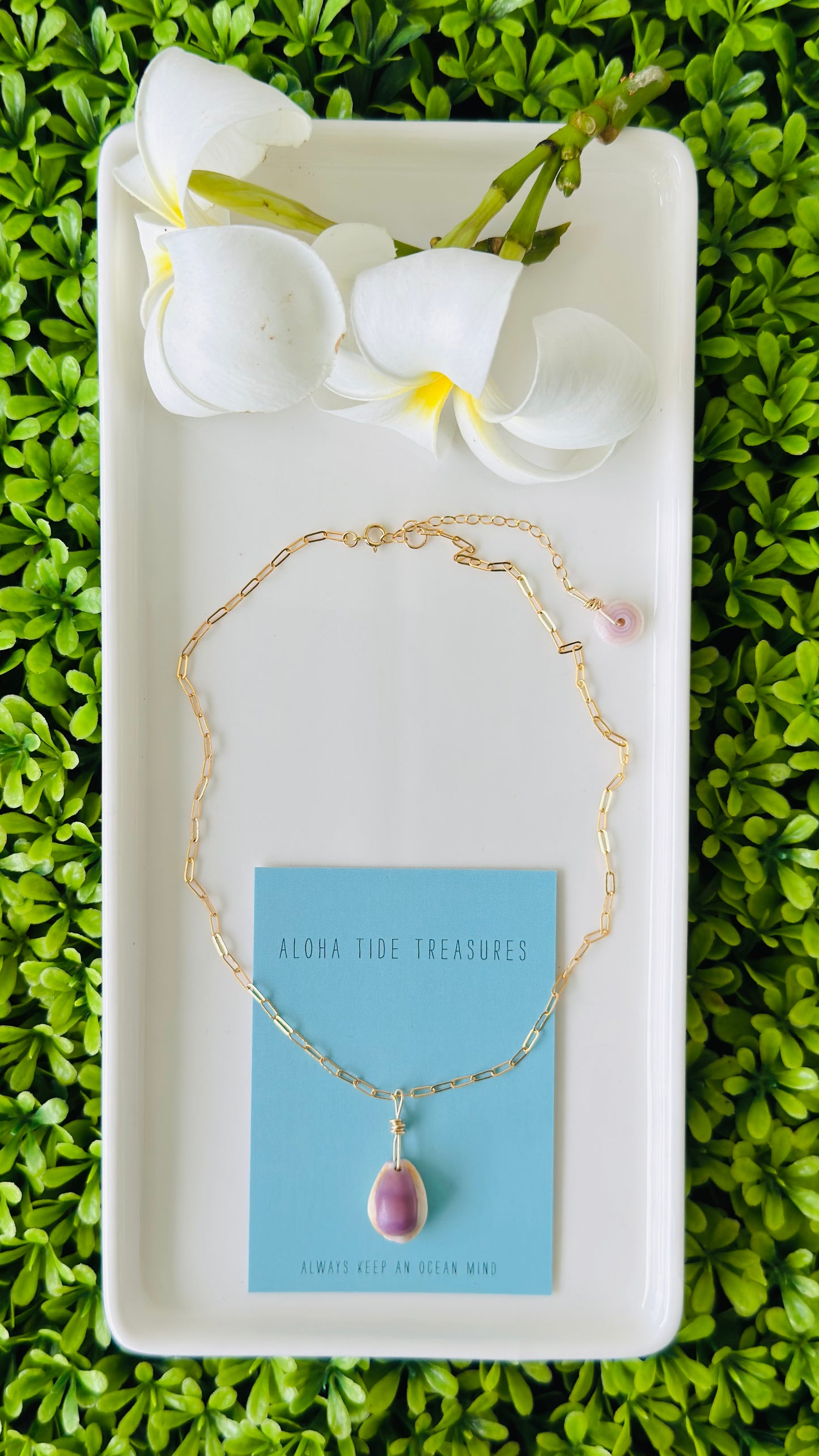 14K GF Cowrie Shell Necklace 14” - Analyse