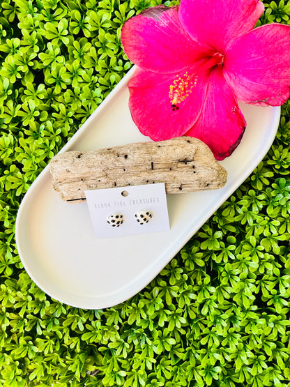 Sterling Silver Drupe Shell Earring Studs