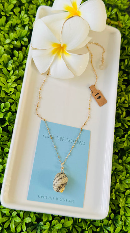 14K GF Nerita Shell Necklace 16”