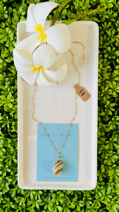 14K GF Nerita Shell Necklace 16”