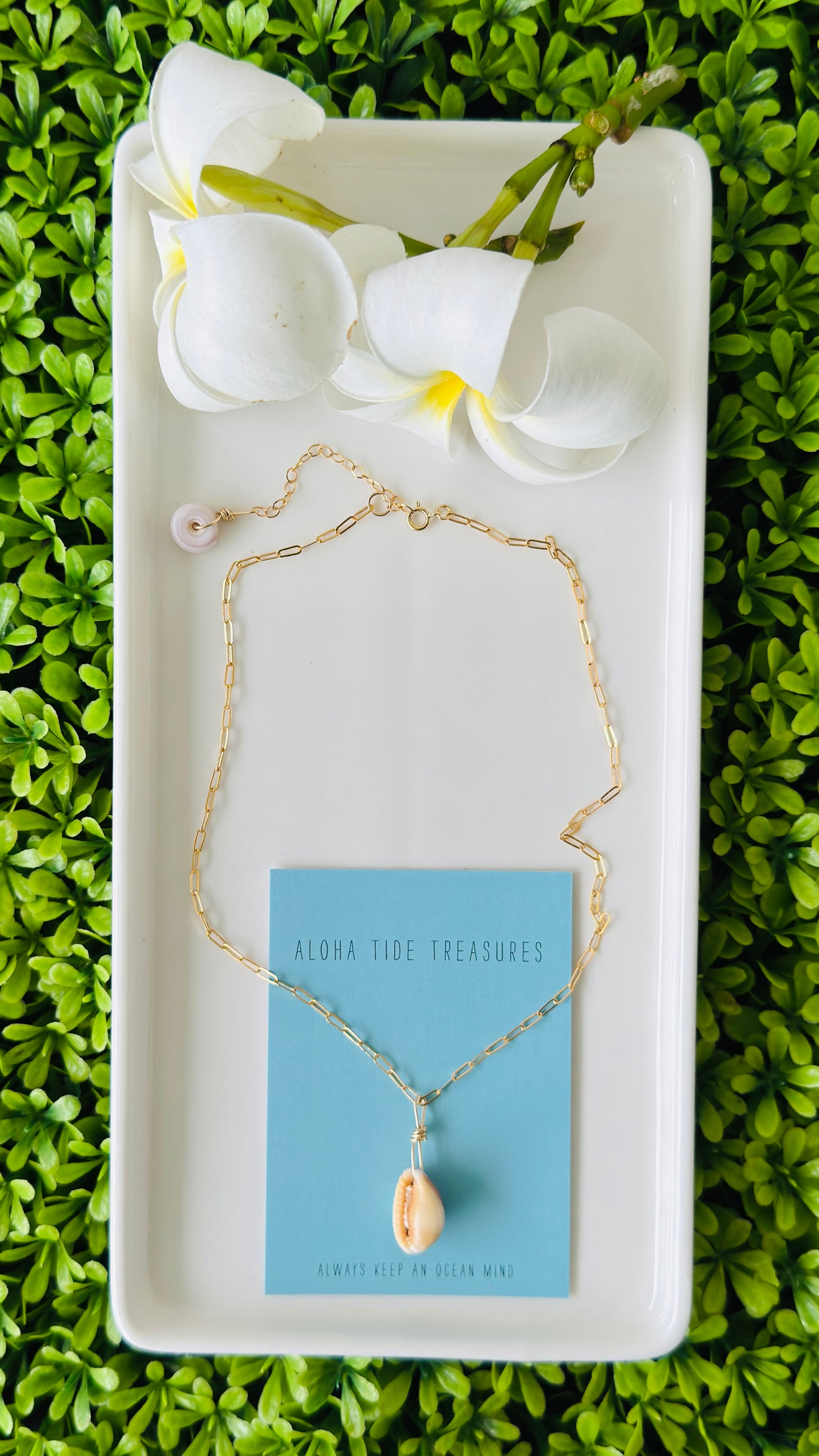 14K GF Cowrie Shell Necklace 14” - Analyse