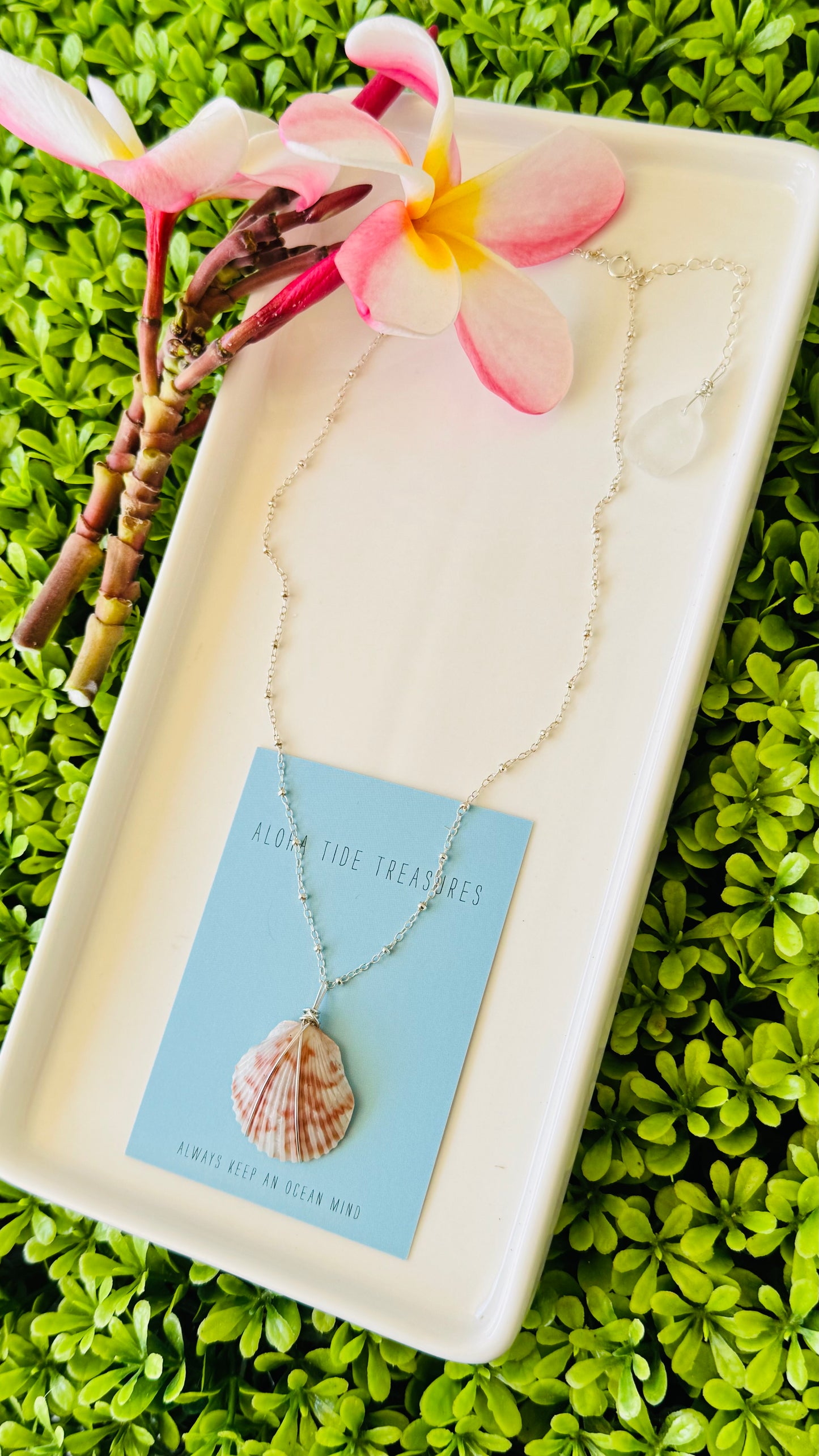 Sterling Silver Calico Shell Necklace 16” - Ginny