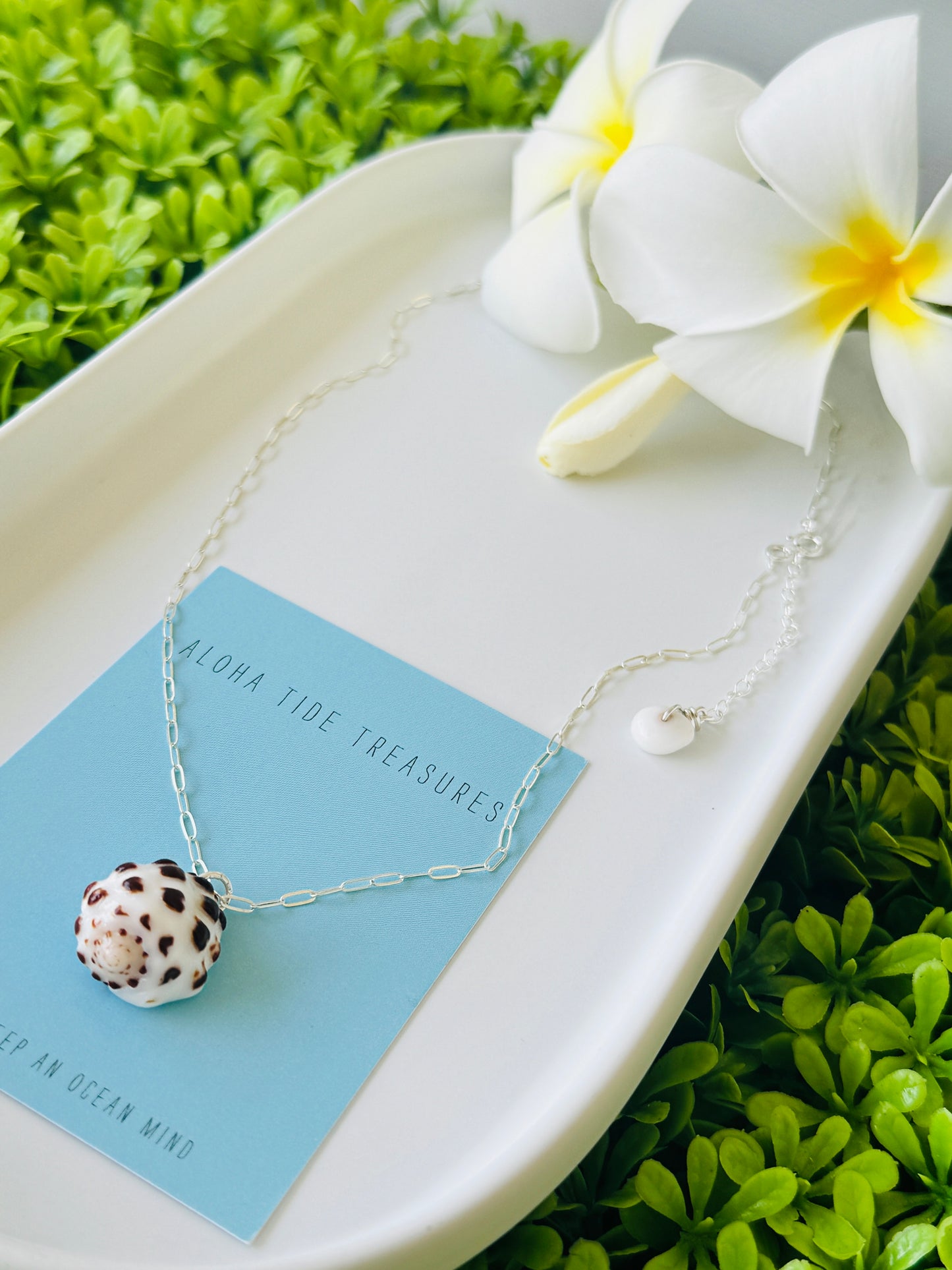 Sterling Silver Drupe Shell Necklace 17” - Jeanie
