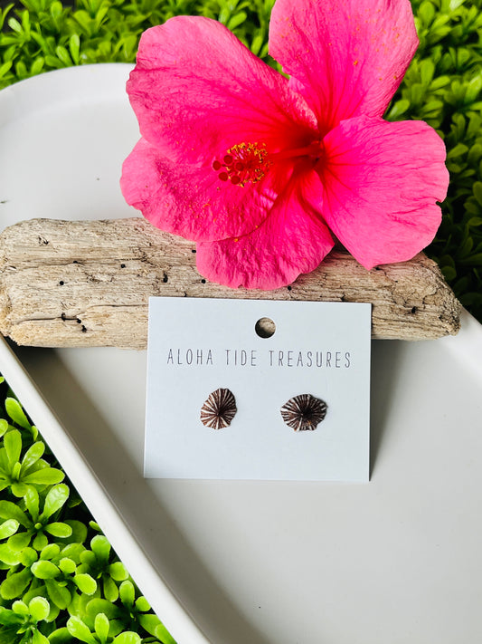 Sterling Silver ‘Opihi Shell Earring Studs