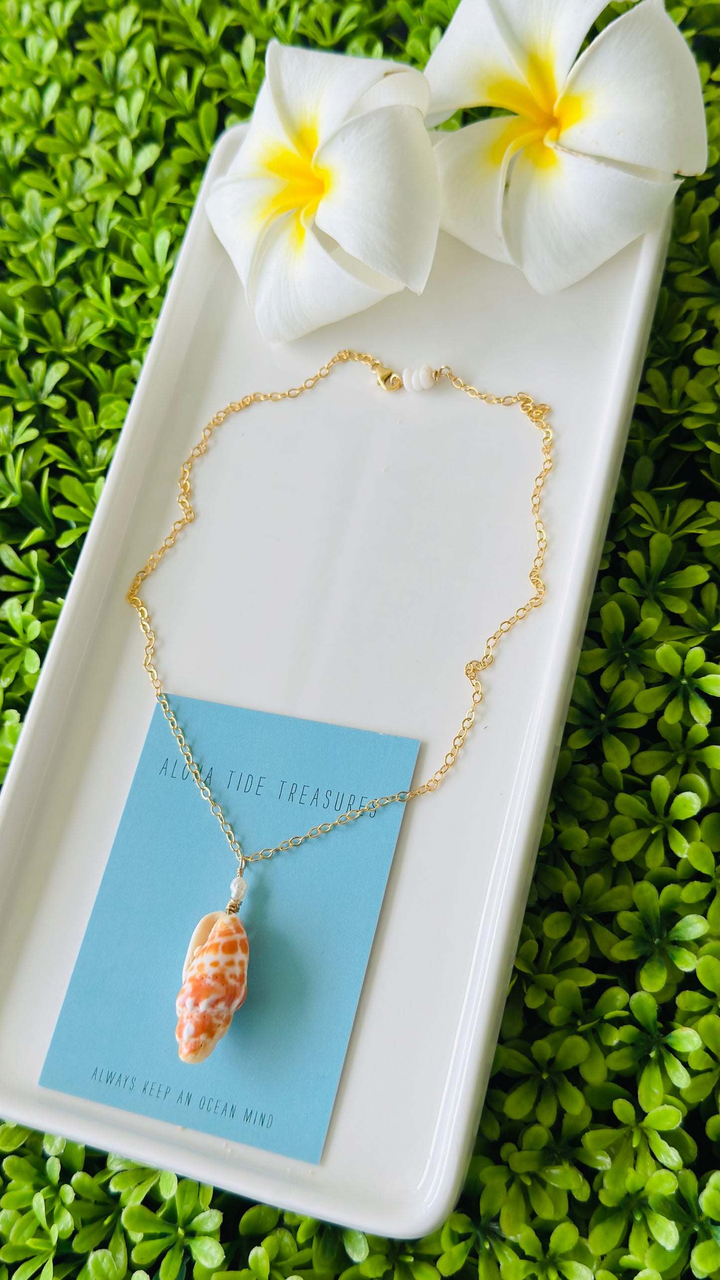 14K GF Miter Shell Necklace 16”