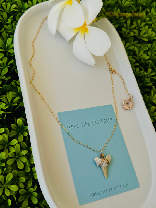 14K GF White Shark Tooth Necklace 16”