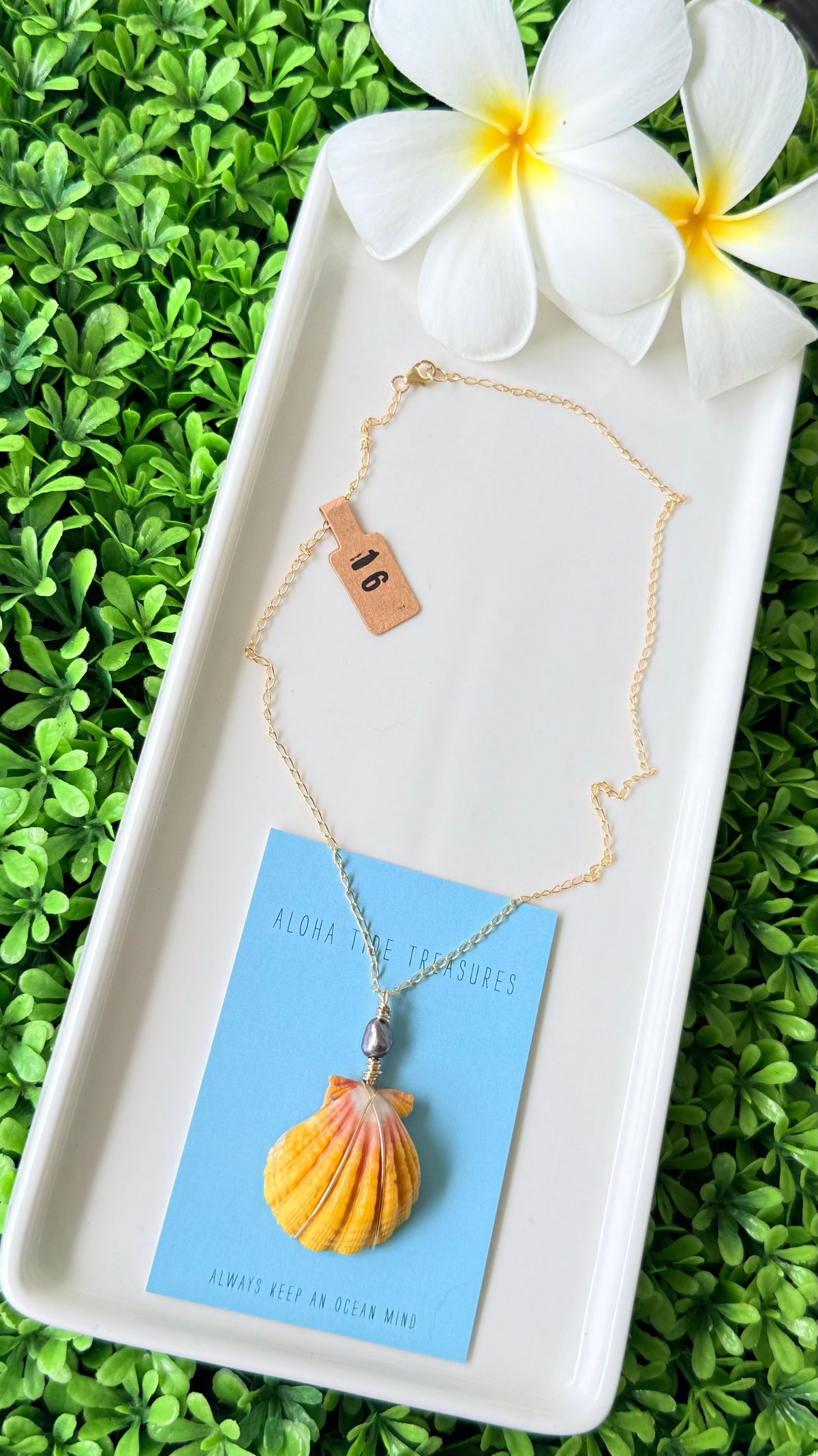 14K GF Sunrise Shell Necklace 16”