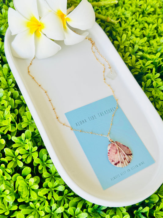 14K GF Carolina Calico Shell Necklace - 16”