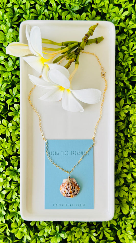 14K GF Scallop Shell Necklace 16”