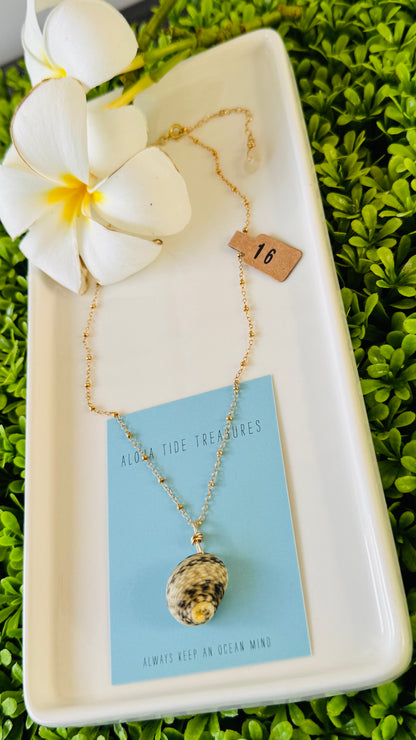14K GF Nerita Shell Necklace 16”