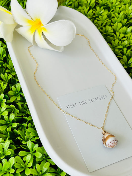 14K GF Hebrew Shell Necklace 16”