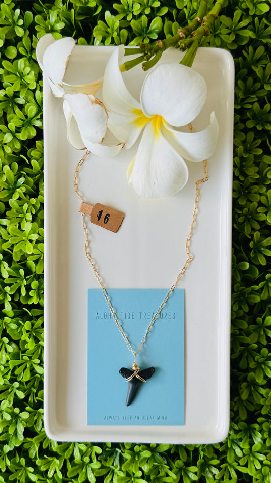 14K GF Shark Tooth Necklace 16”