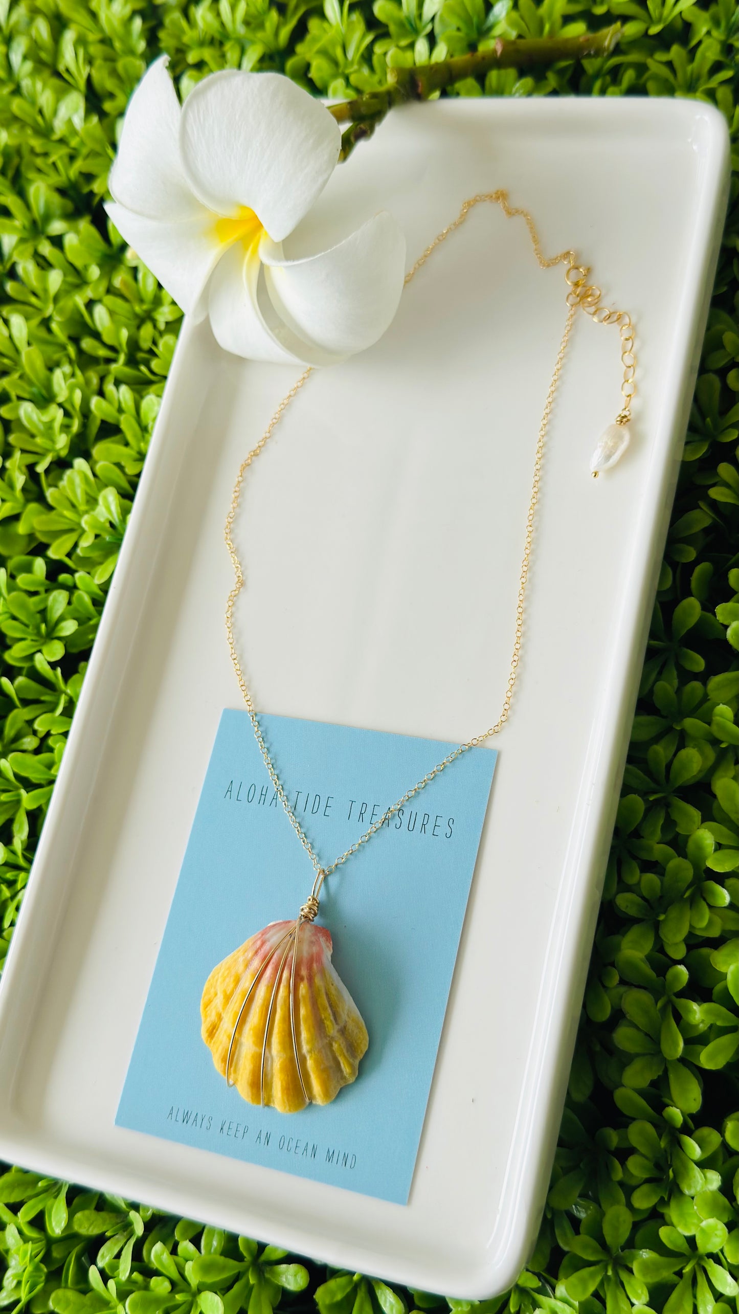 14K GF Sunrise Shell Necklace 16” - Jessica