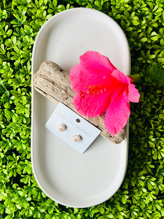 Sterling Silver Puka Shell Earring Studs