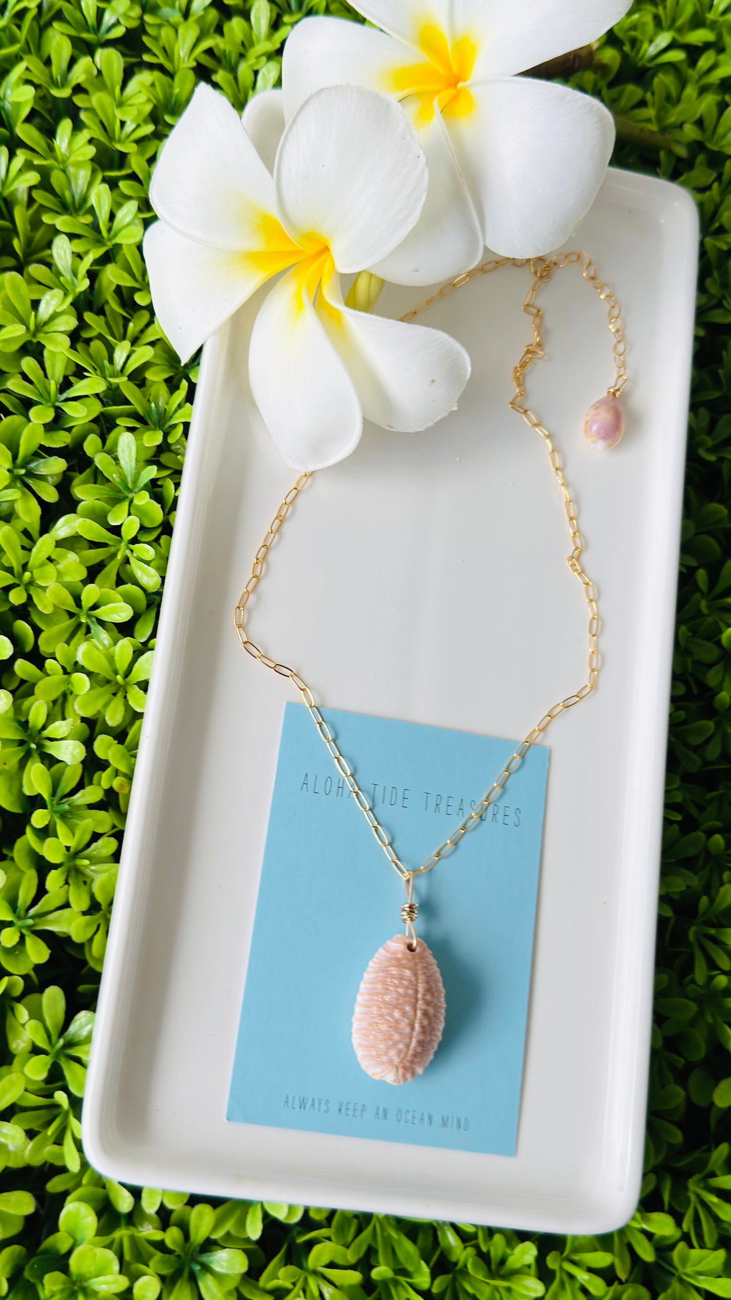 14K GF Cowrie Shell Necklace 16” - Mary