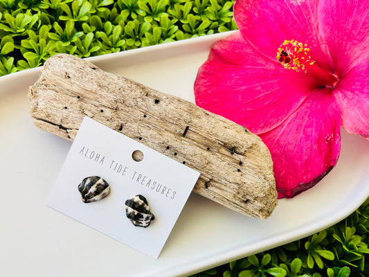 Sterling Silver Cone Shell Earring Studs