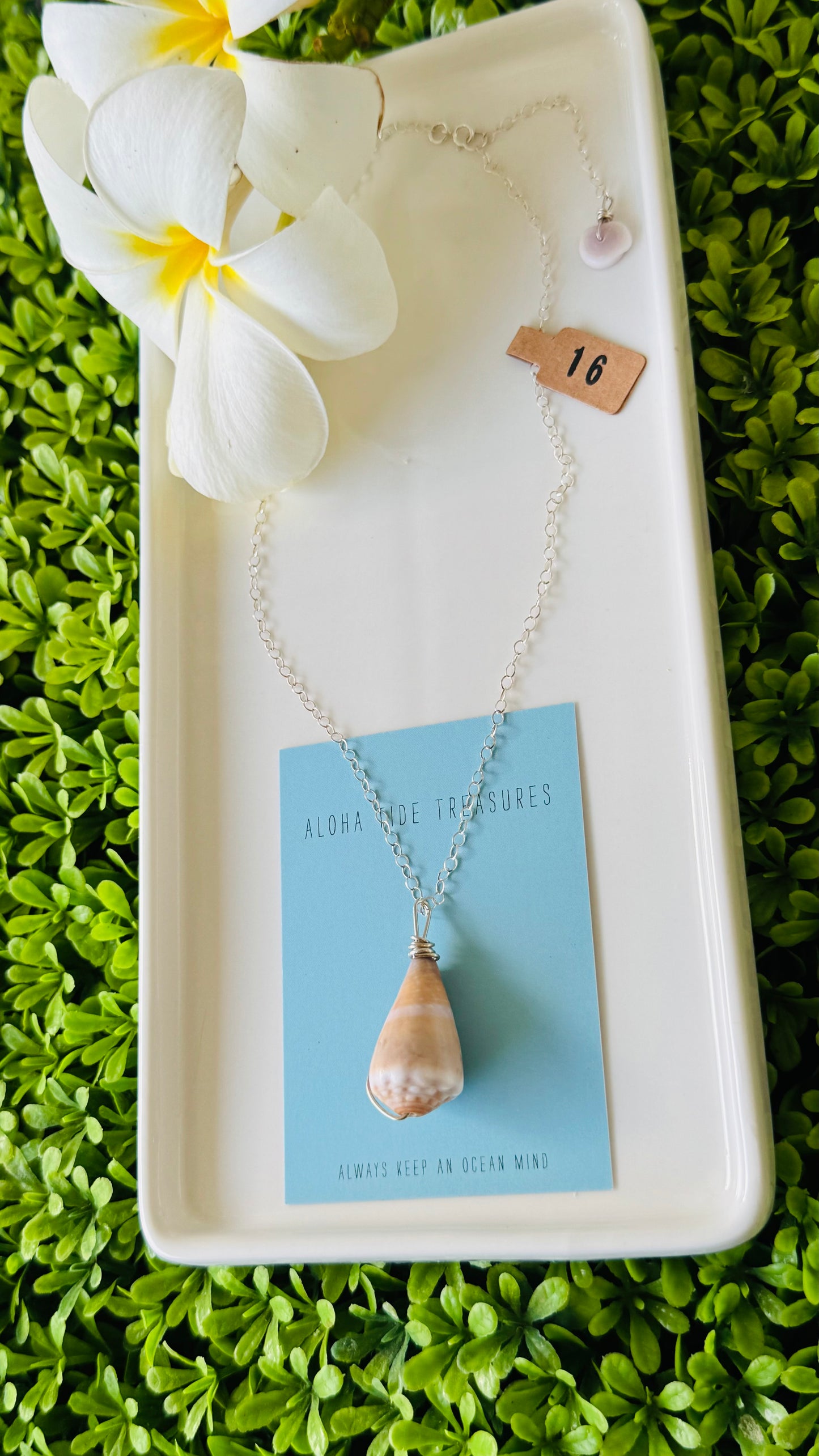 Sterling Silver Cone Shell Necklace 16”