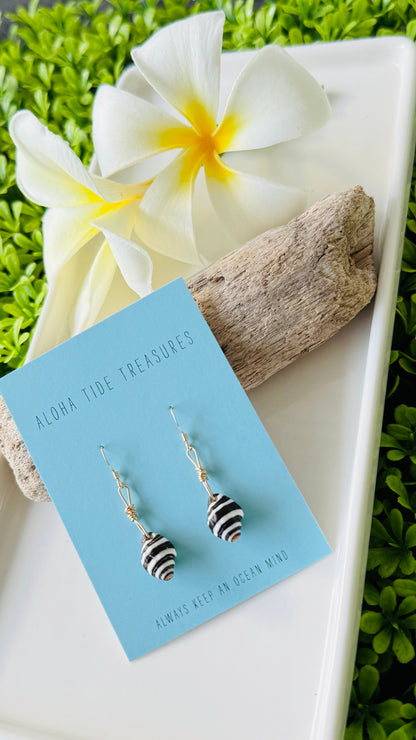 14K GF Okinawa Zebra Shell Earrings