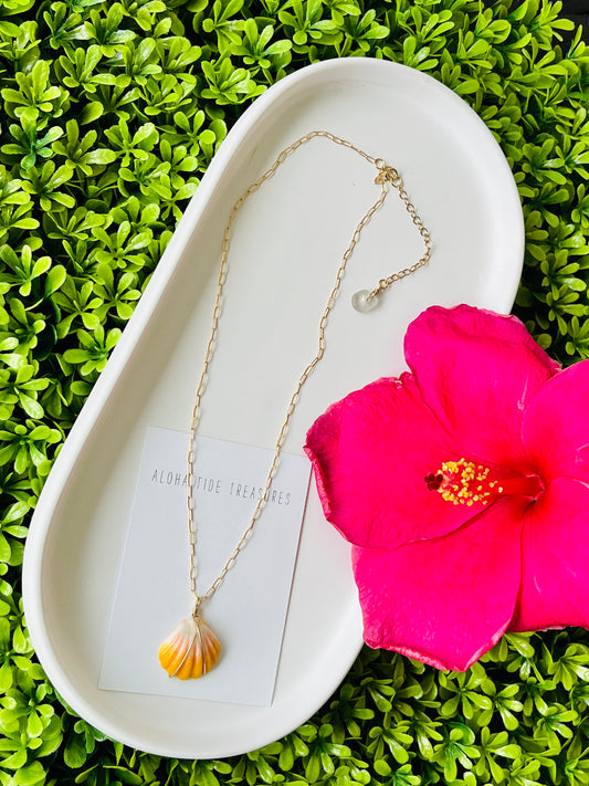 14K GF Sunrise Shell Necklace 16”