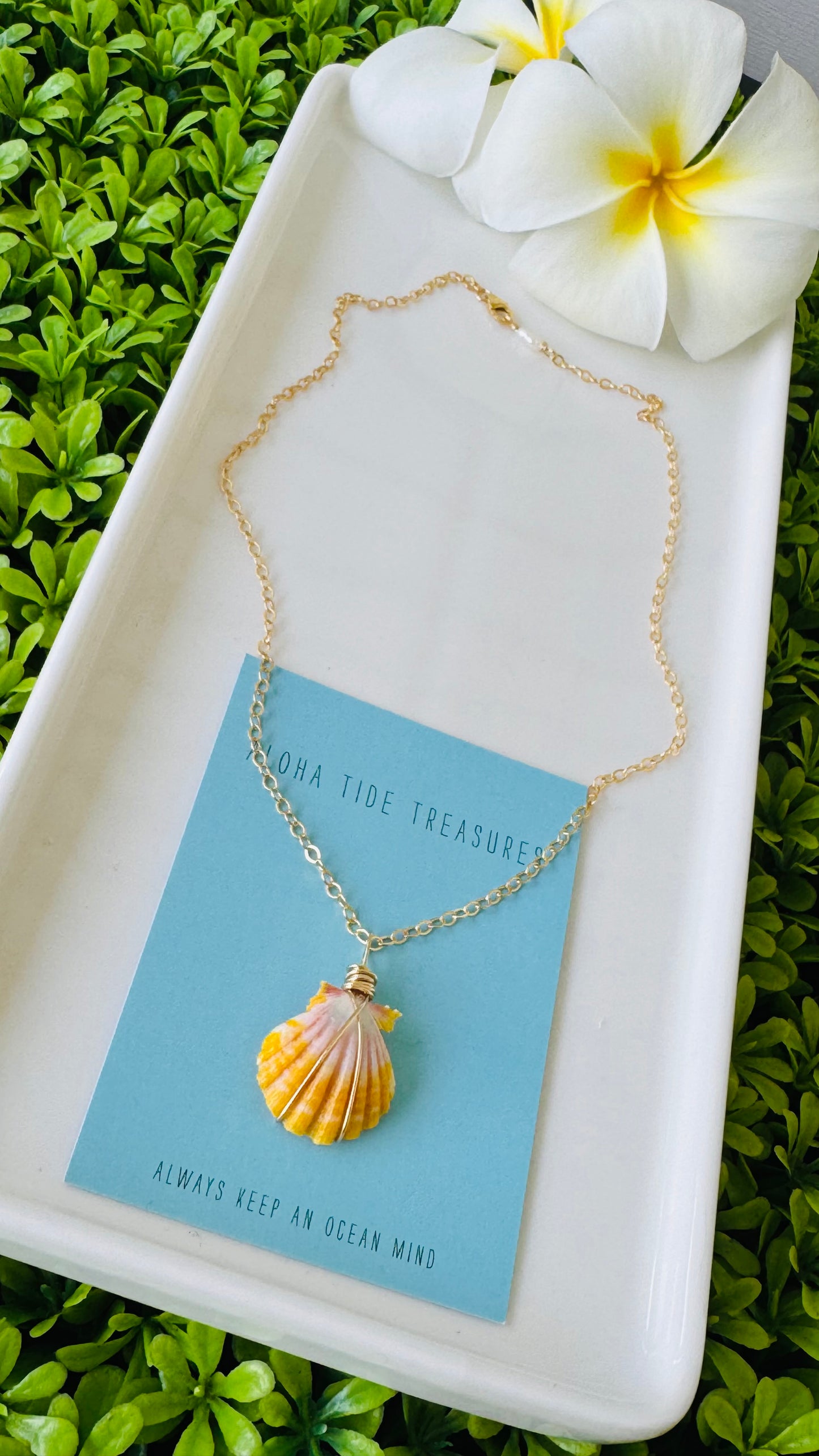 14K GF Sunrise Shell Necklace 16” - Danielle