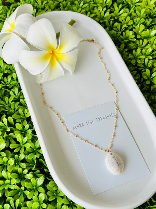 14K GF Cowrie Shell Necklace 16”