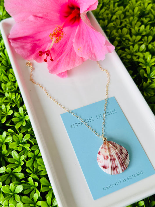 14K GF Carolina Calico Shell Necklace 16” - Kristin