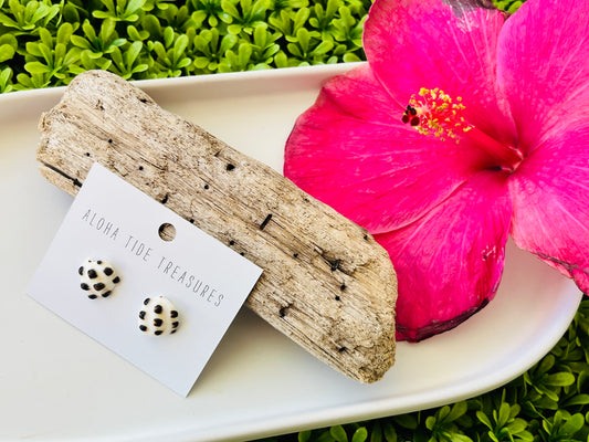 Sterling Silver Drupe Shell Earring Studs