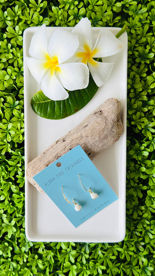 14K GF Stacked Puka Shell Earrings