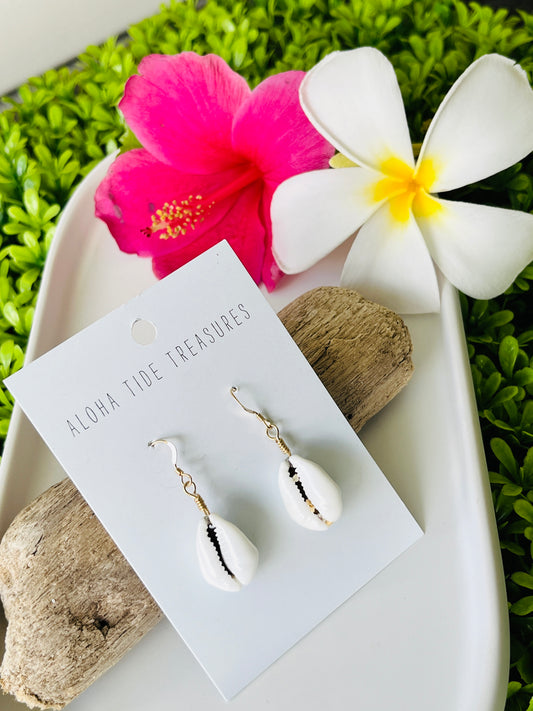 14K GF Money Cowrie Shell Earrings