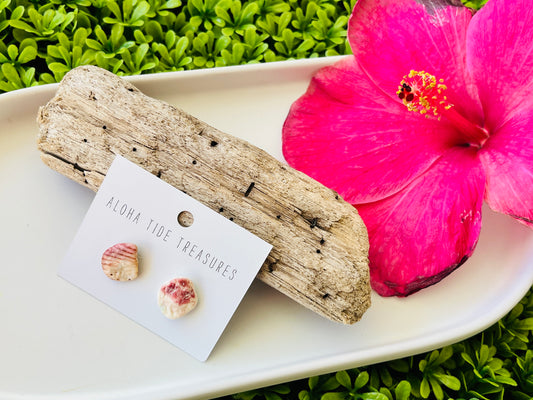 Sterling Silver Pink Barnacle Shell Earring Studs