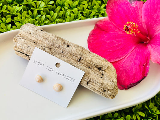 Sterling Silver Puka Shell Earring Studs