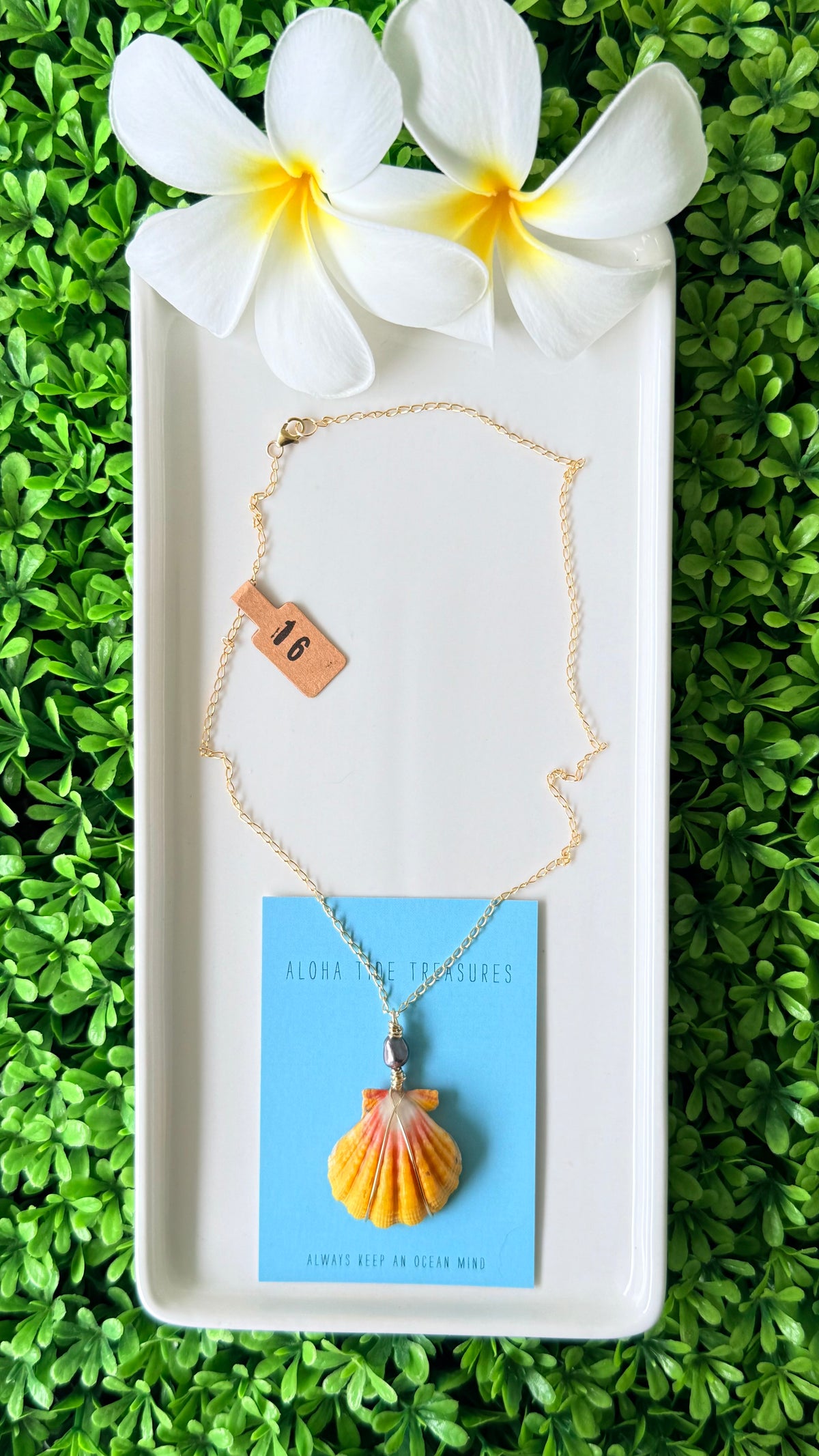 14K GF Sunrise Shell Necklace 16”