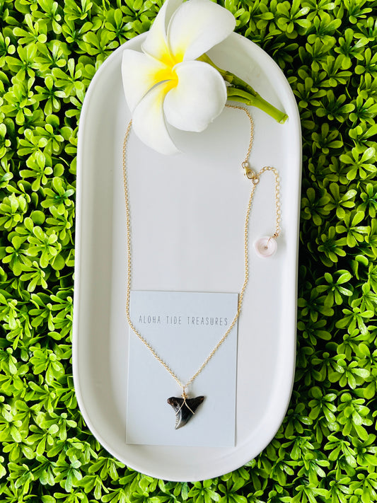14K GF Shark Tooth Necklace 16”