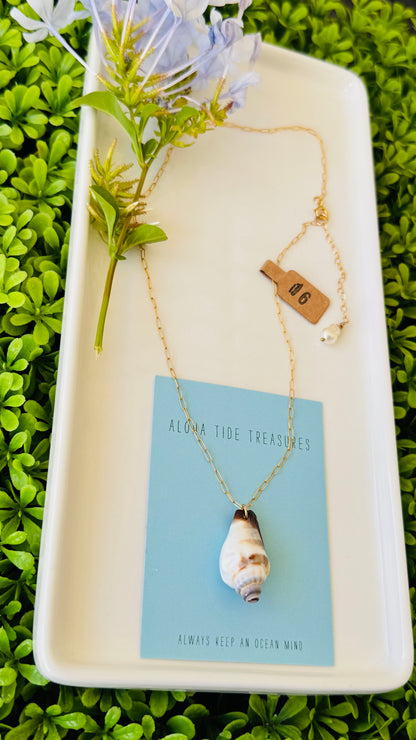14K GF Conch Shell Necklace 16”