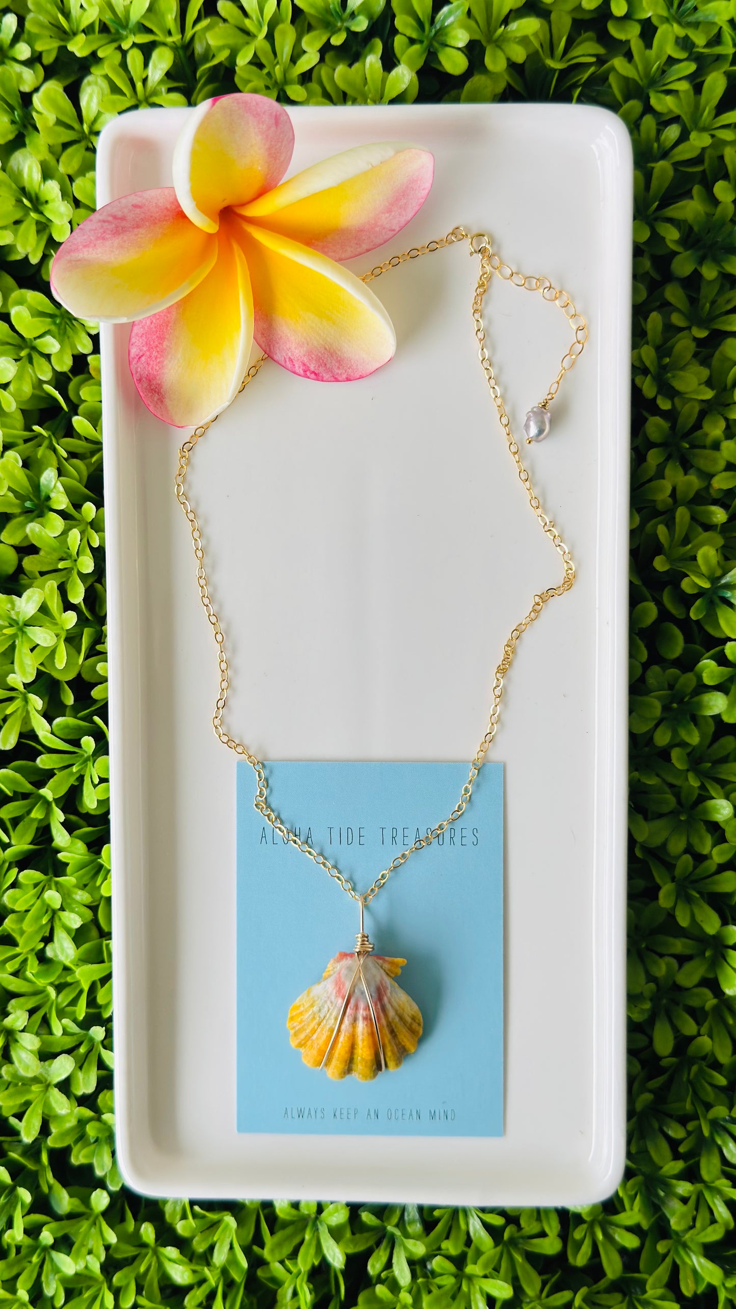 14K GF Sunrise Shell Necklace 16”