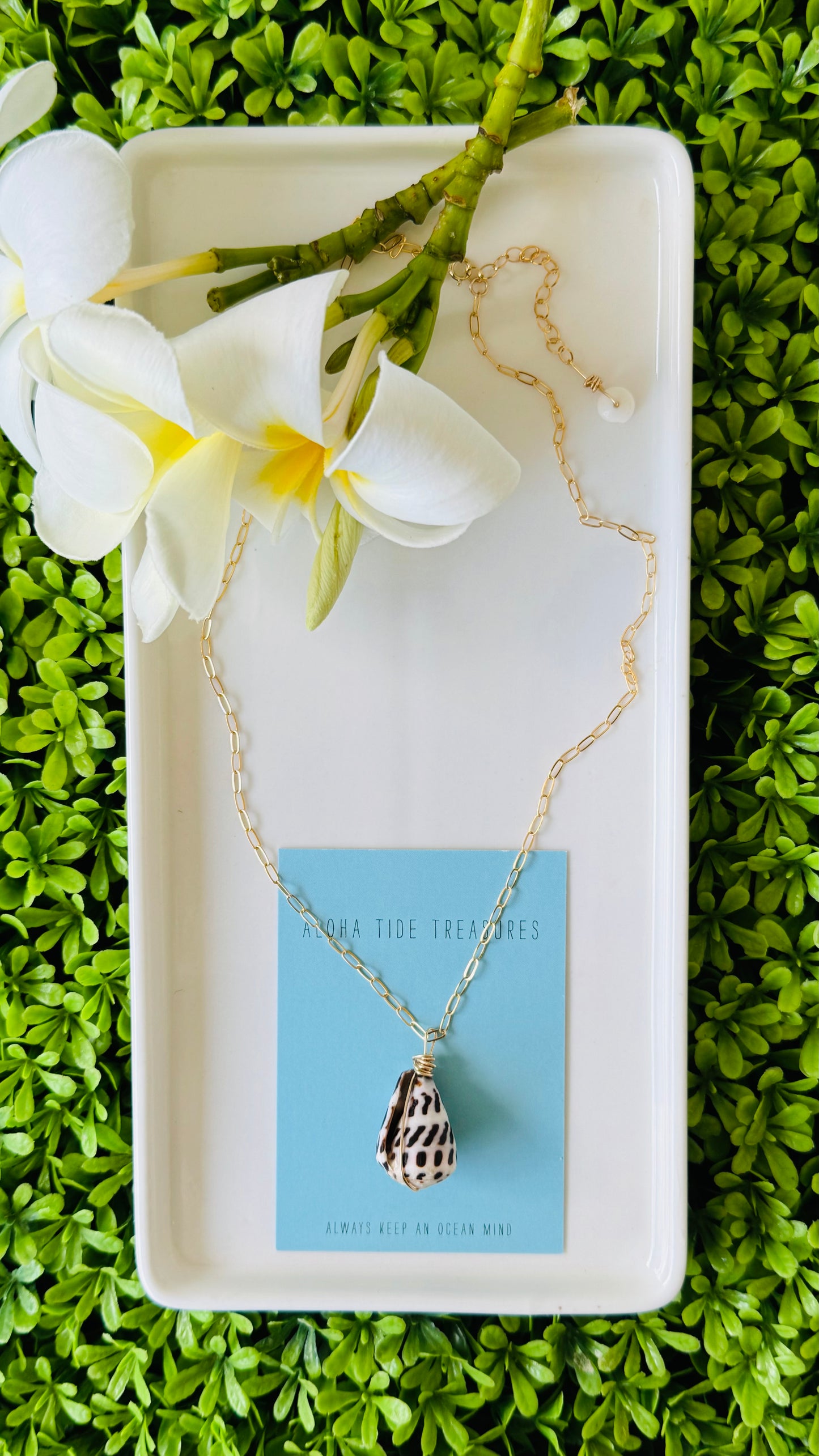 14K GF Hebrew Shell Necklace 18” - Ryan