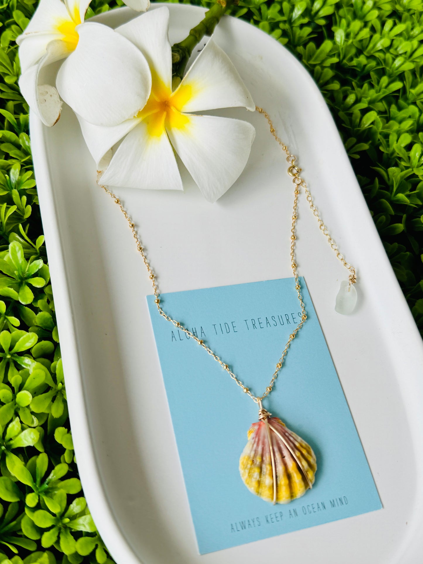 14K GF Moonrise Shell Necklace 16”