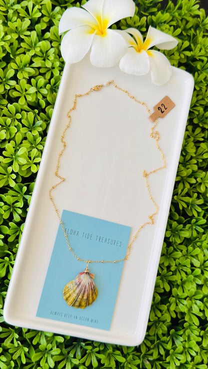 14K GF Sunrise Shell Necklace 22”
