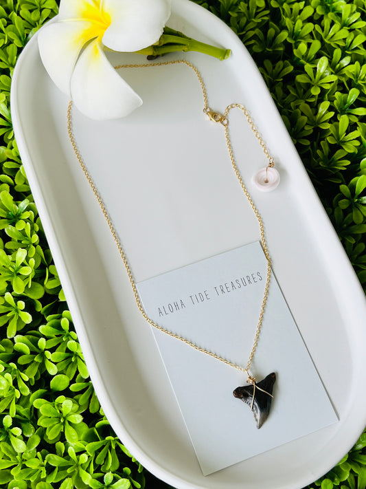 14K GF Shark Tooth Necklace 16”