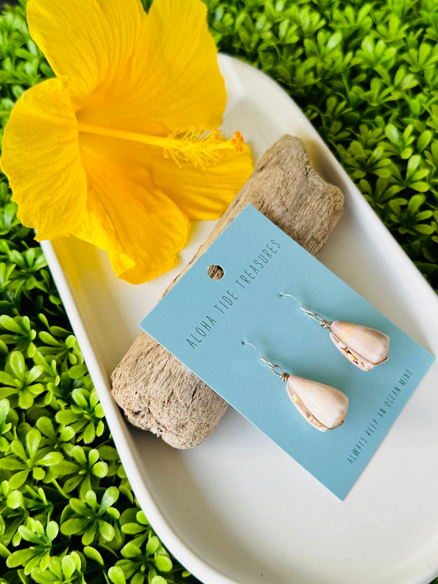 Sterling Silver Cone Shell Earrings