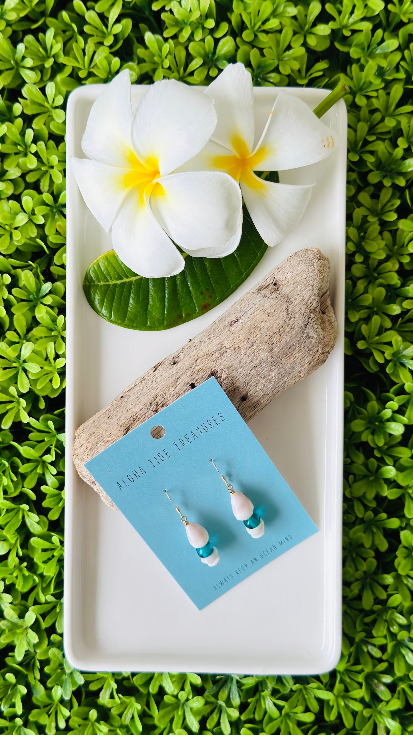 14K GF Stacked Cone Shell Earrings