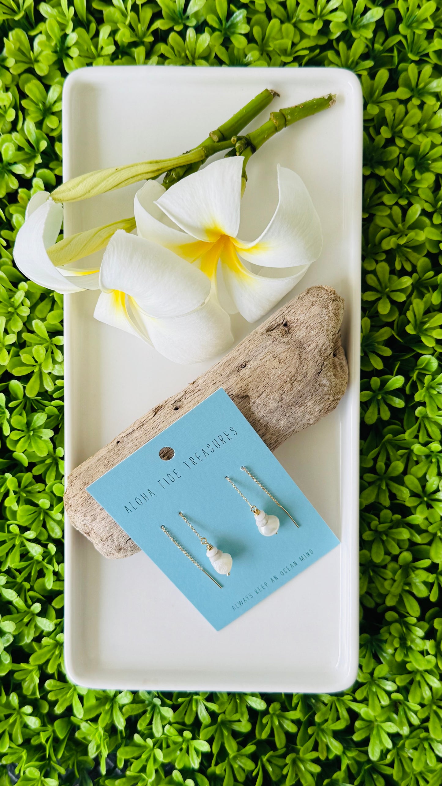 14K GF Puka/Pearl Threader Earrings - Sage