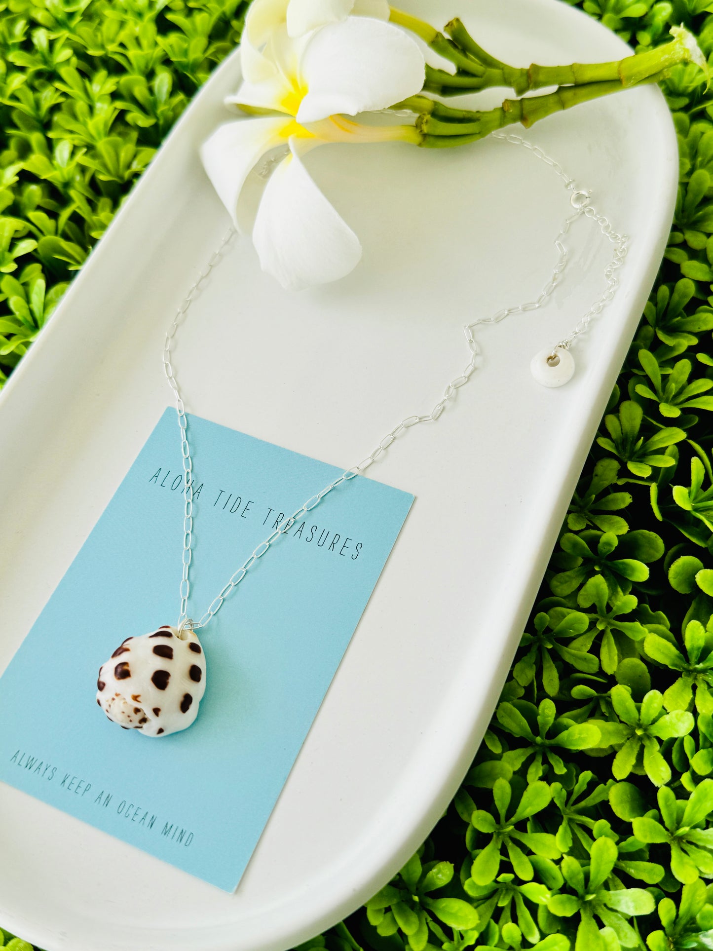 Sterling Silver Drupe Shell Necklace 16” - Kelsea