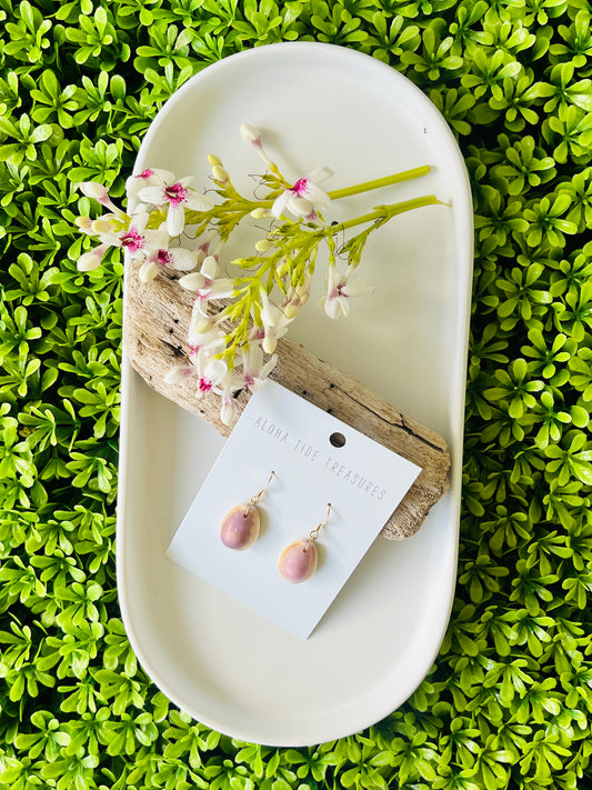 14K GF Cowrie Shell Earrings