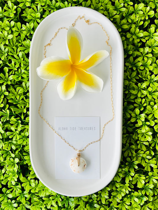 14K GF Puka Shell Necklace 20”