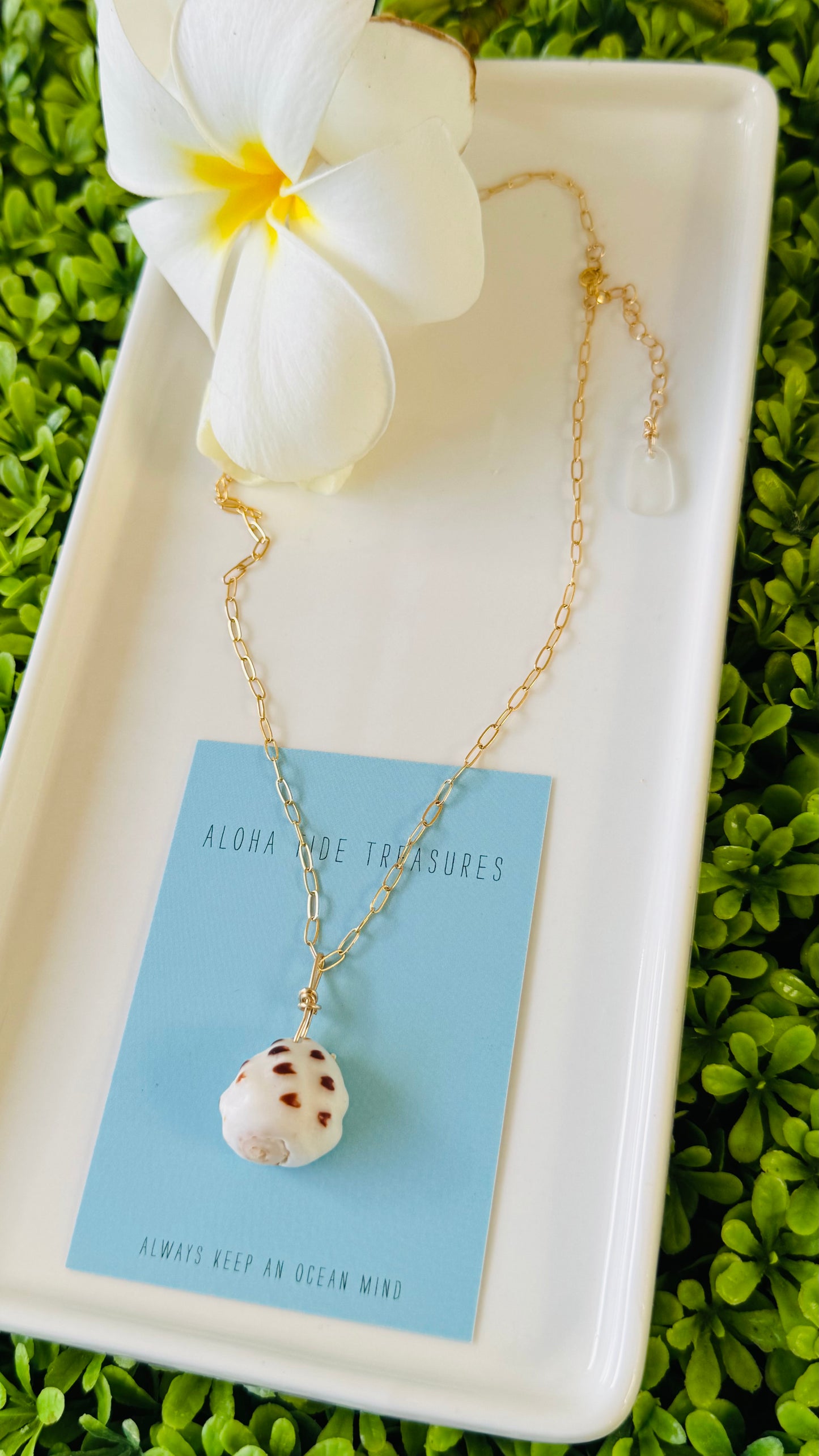14K GF Drupe Shell Necklace 16”