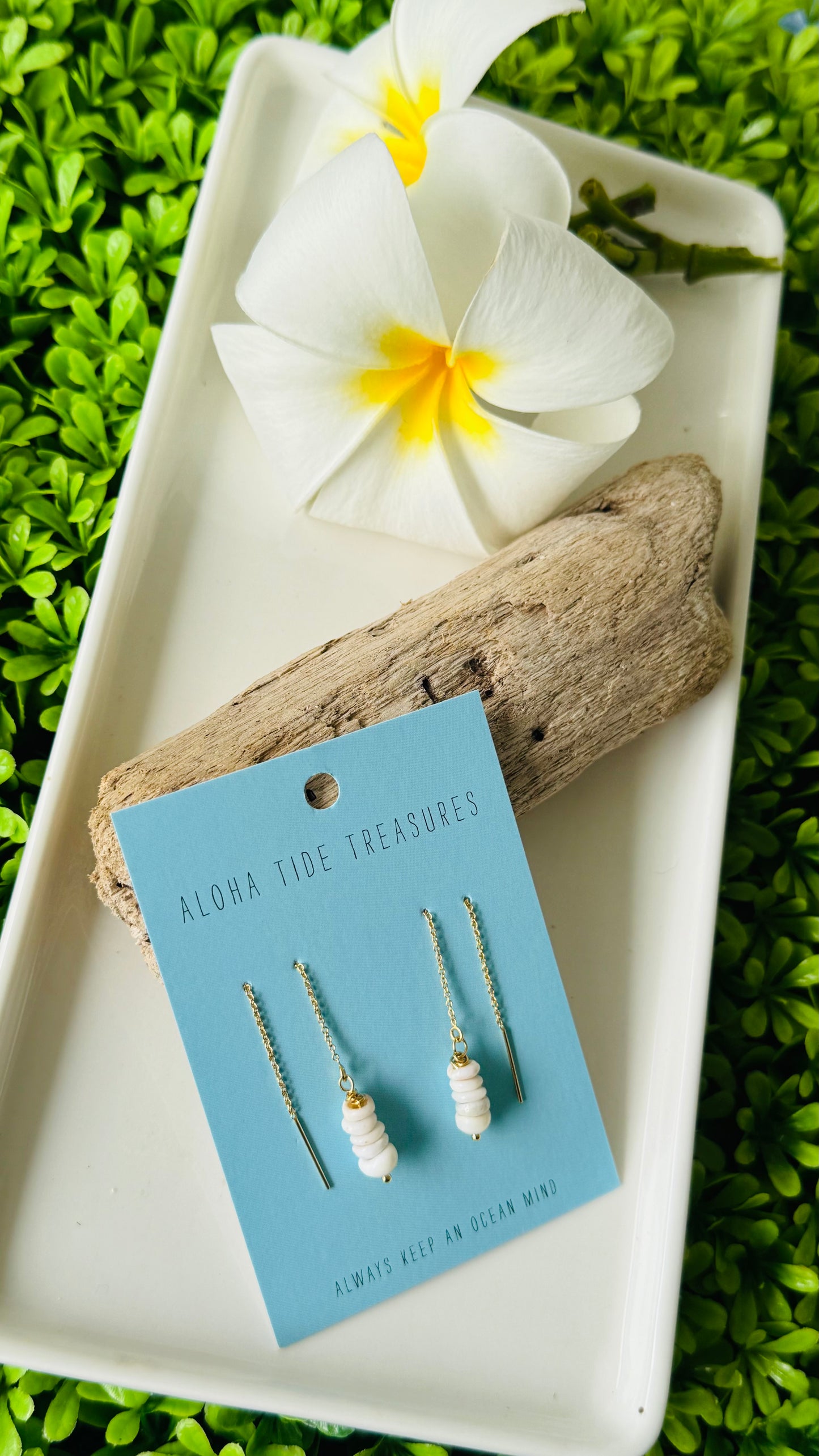 14K GF Puka Shell Threader Earrings