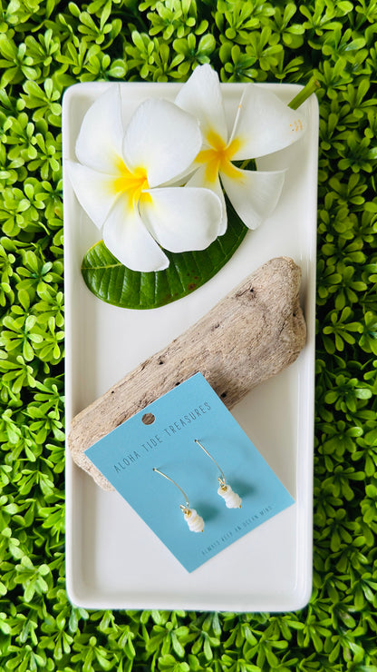 14K GF Stacked Puka Shell Earrings